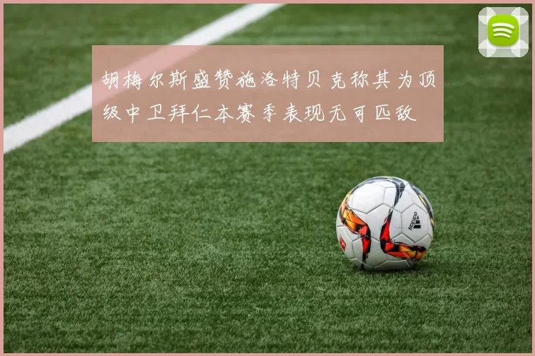 胡梅尔斯盛赞施洛特贝克称其为顶级中卫拜仁本赛季表现无可匹敌
