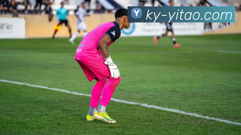 壹号娱乐APP 封面图